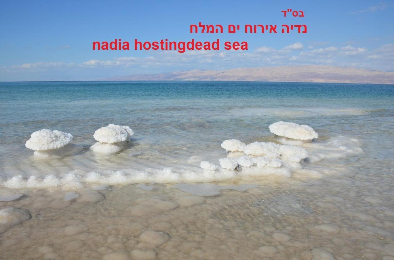 הוילה נווה זוהר אירוח נדיה ים המלח מראה חיצוני תמונה
