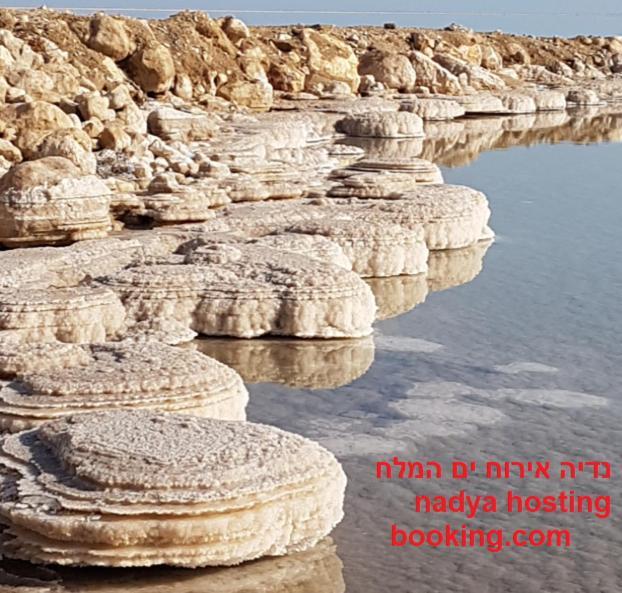 הוילה נווה זוהר אירוח נדיה ים המלח מראה חיצוני תמונה