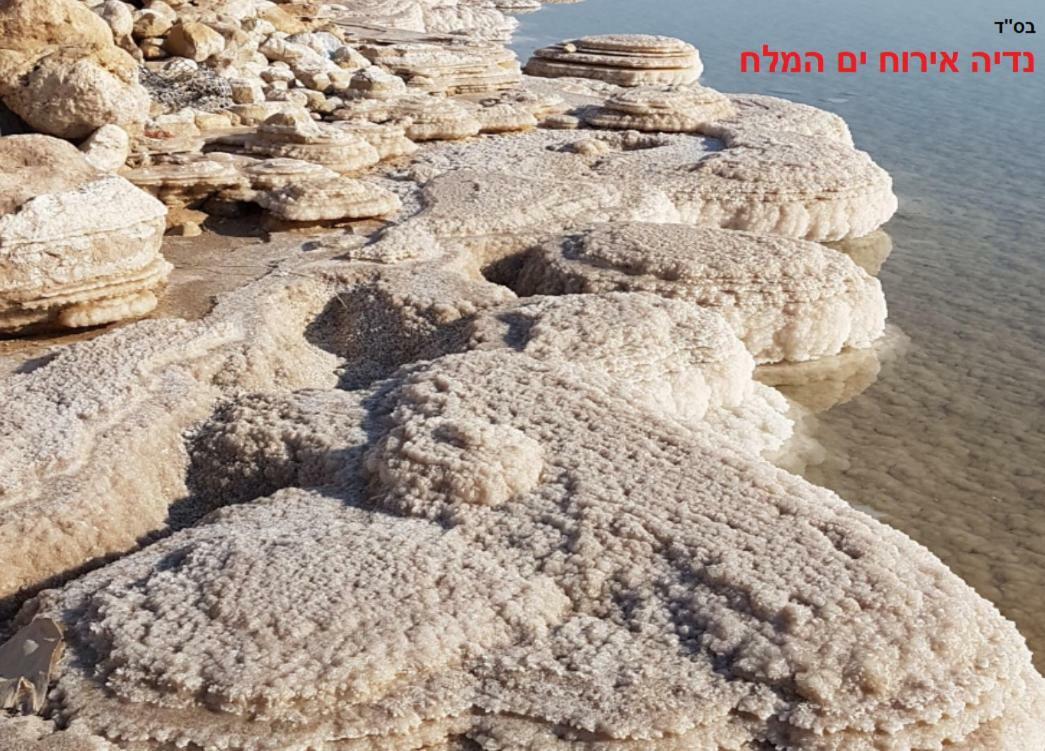 הוילה נווה זוהר אירוח נדיה ים המלח מראה חיצוני תמונה